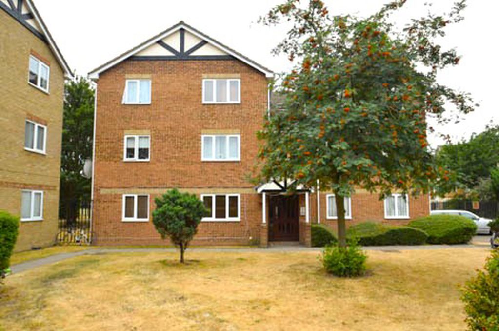 Main Image